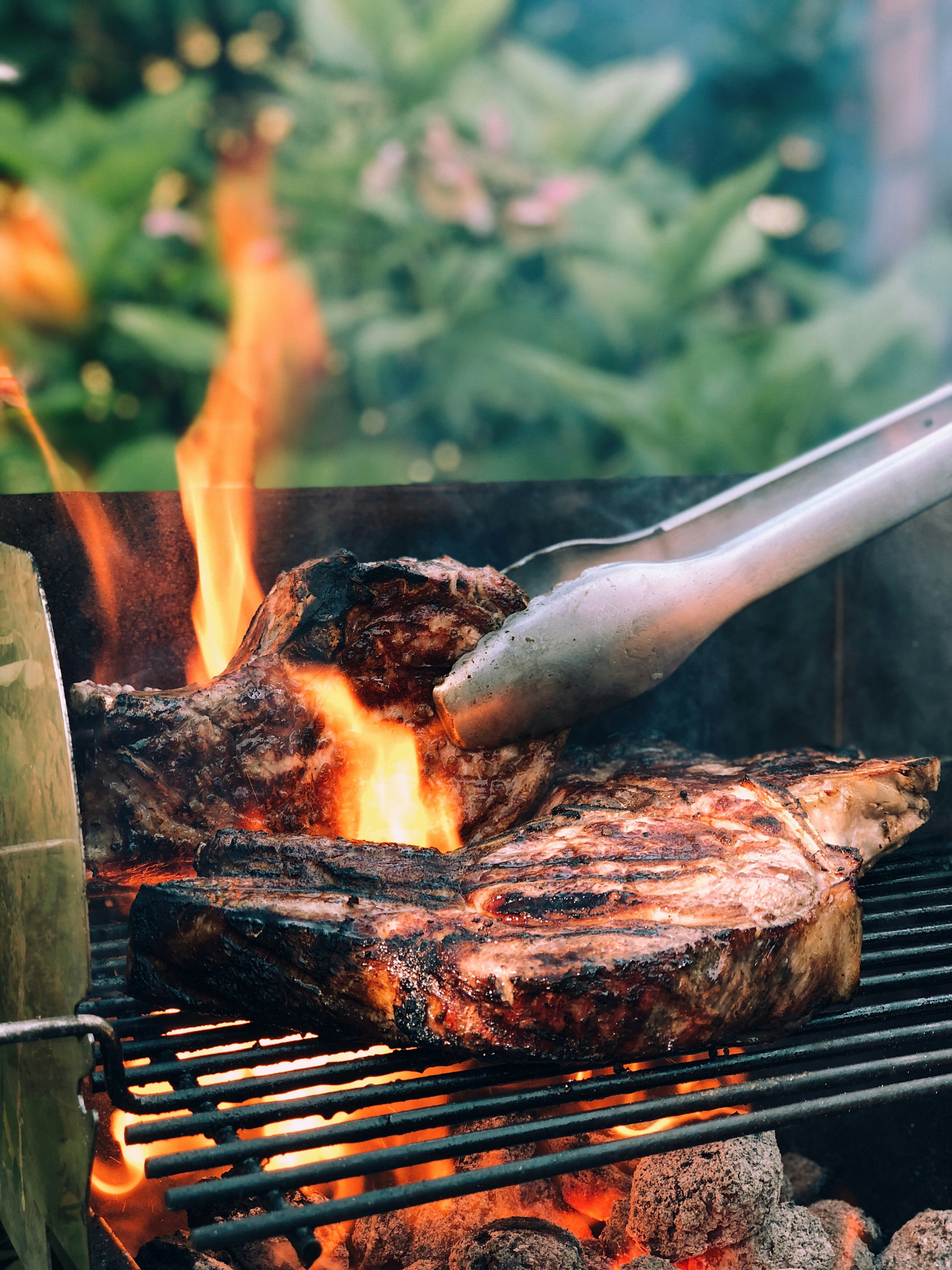 EcoGrill Home Series kućni roštilj